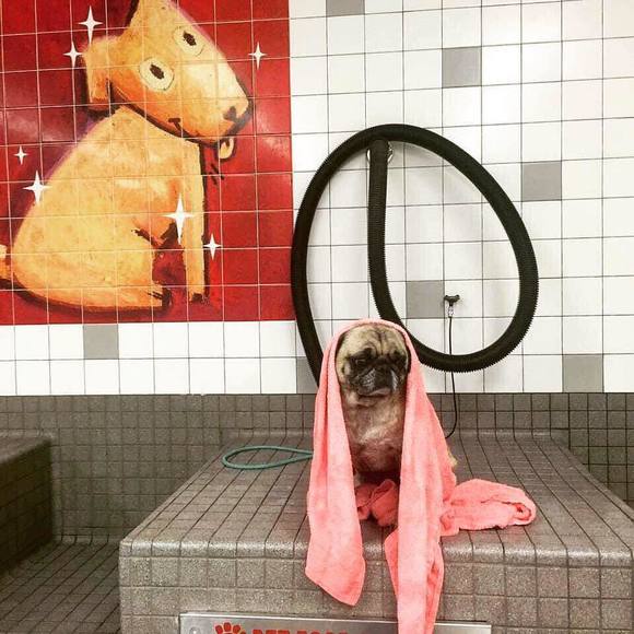 Meet your Posher, Jenn - Picture 1 of 1